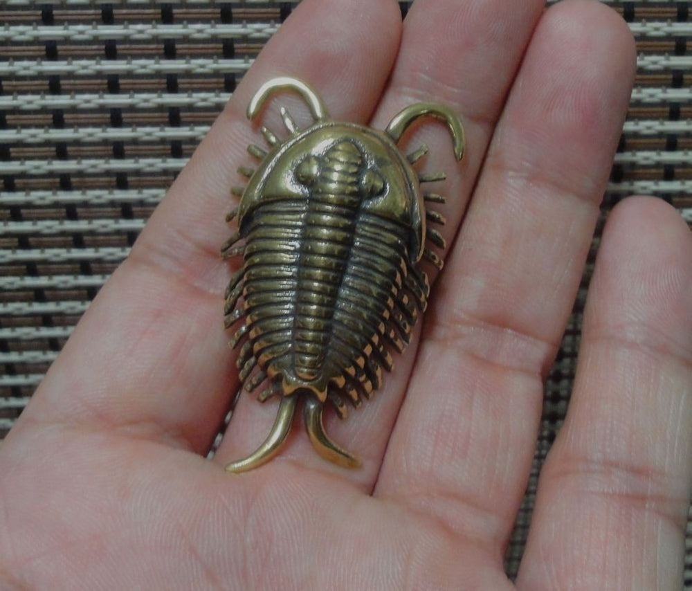 Solid Brass Trilobite Ancient Animal Figurine Statue Home Ornament
