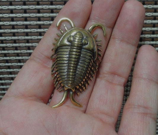 Solid Brass Trilobite Ancient Animal Figurine Statue Home Ornament